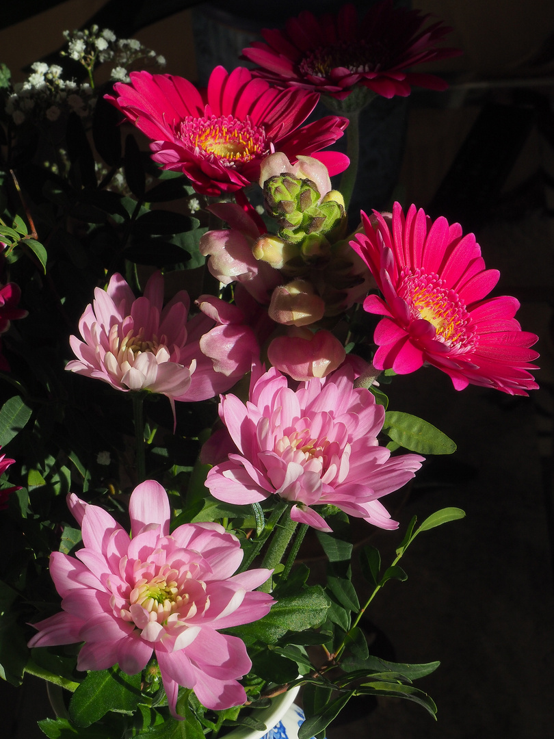 Ombres et lumière sur un bouquet