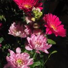 Ombres et lumière sur un bouquet