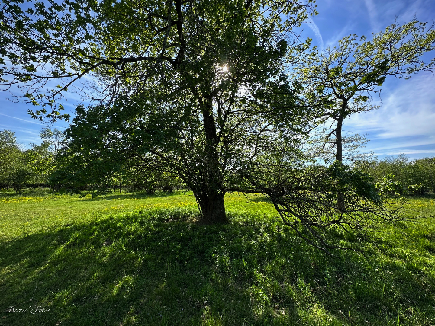 Ombres et lumières