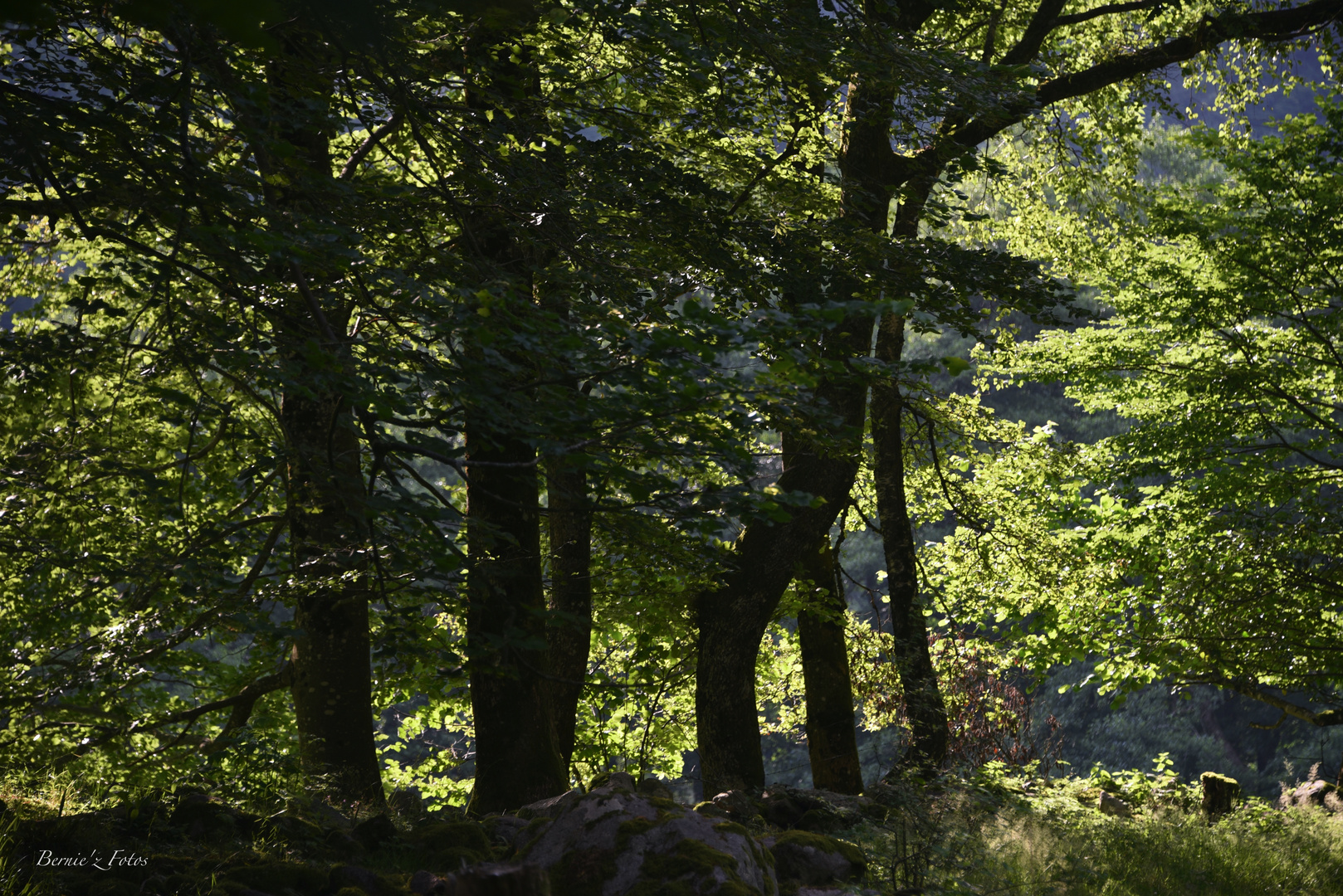 Ombres et lumières