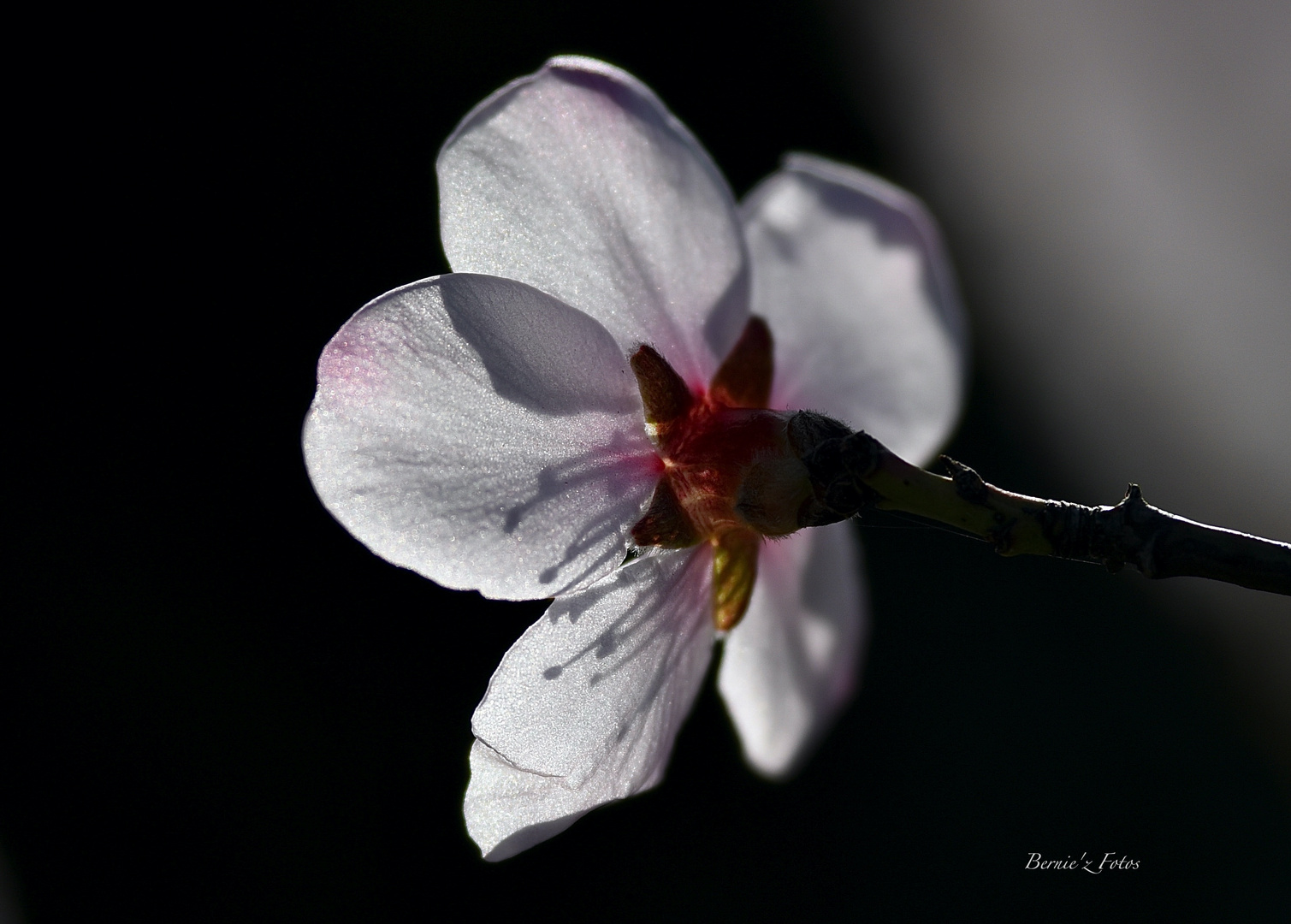 Ombres et lumières