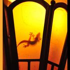 Ombres laotiennes : Gecko