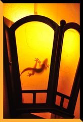 Ombres laotiennes : Gecko