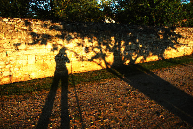 Ombres soleil couchant