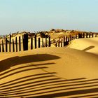 Ombres sur la dune.