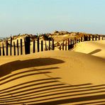 Ombres sur la dune.