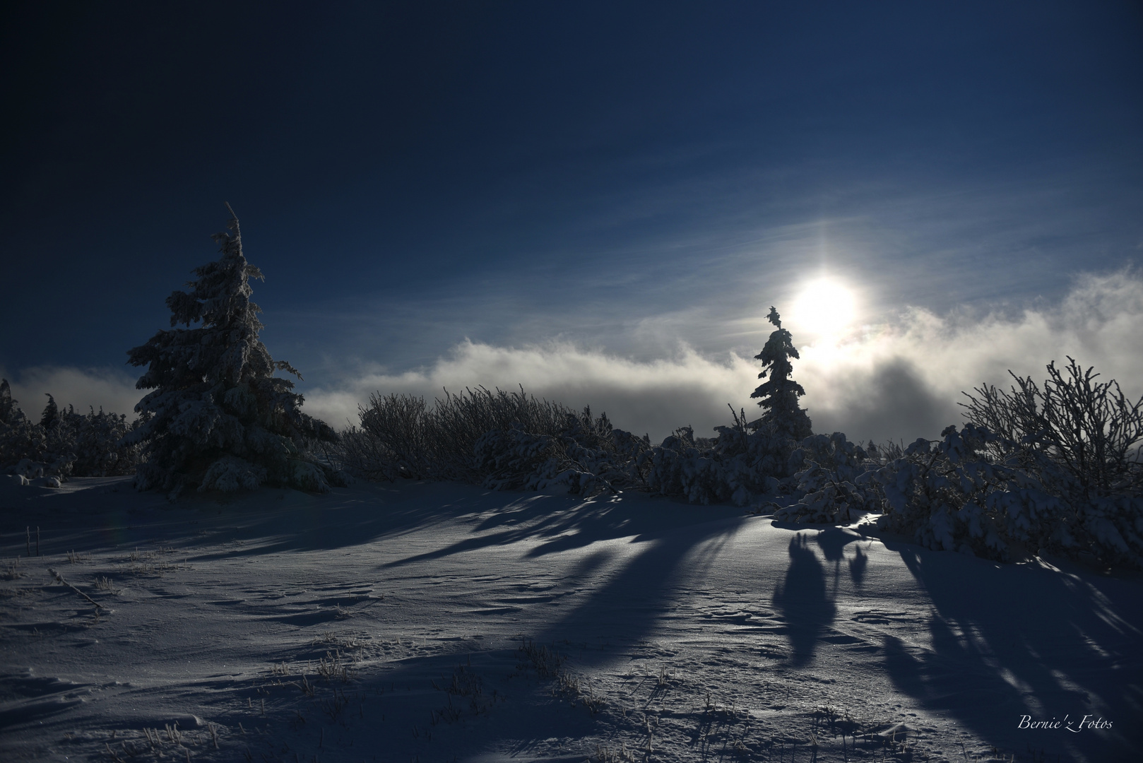 Ombres sur la neige