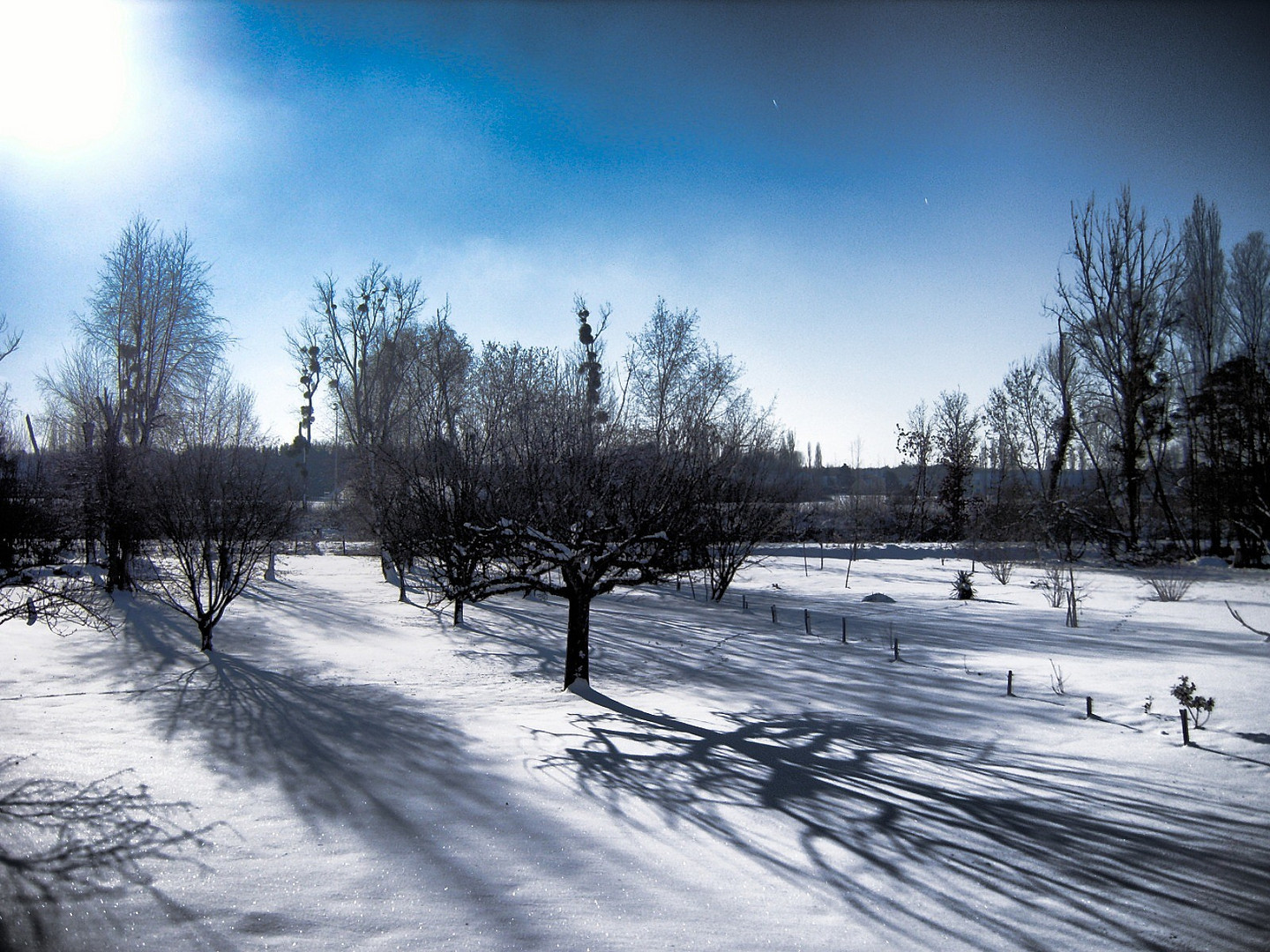 Ombres sur la Neige