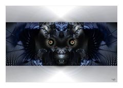 Omen 2