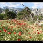 Omis, Mai 2013