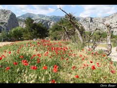 Omis, Mai 2013