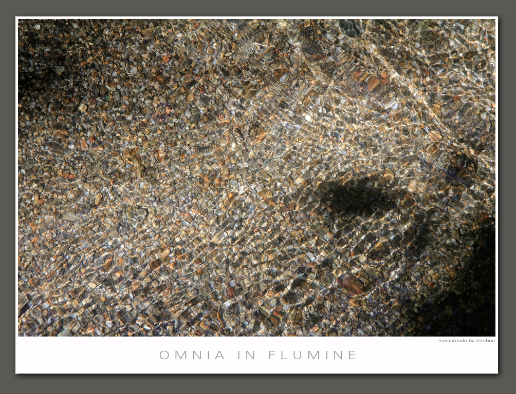 omnia in flumine