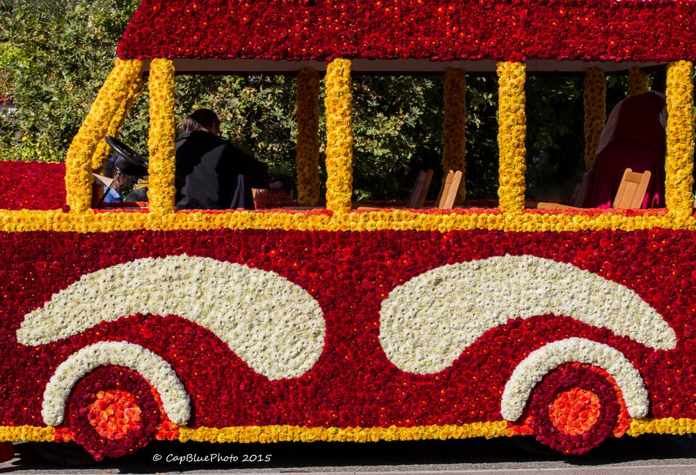 Omnibus aus Dahlien Winzerumzug Sasbachwalden