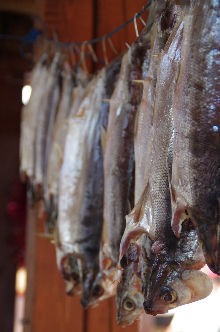 Omul auf einem Fischmarkt am Baikalsee