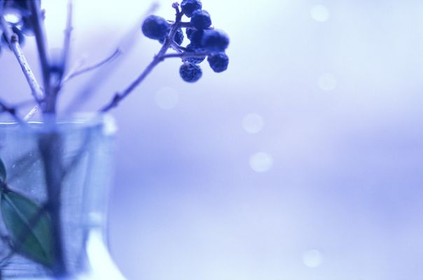 ...on a blue sunday...