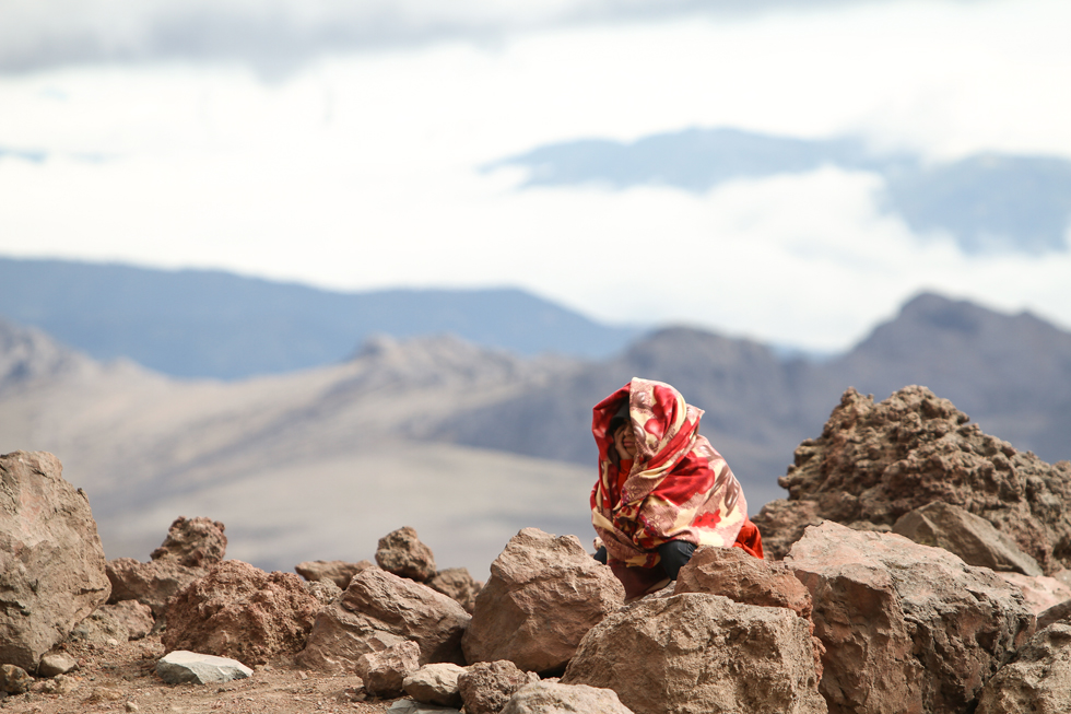 On a excursion - Chimborazo