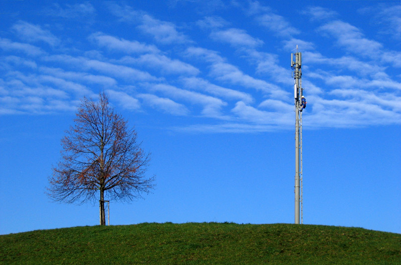 on a hill there was a tree, and up in the sky the electrician