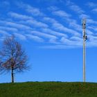 on a hill there was a tree, and up in the sky the electrician