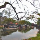 On a Khlong in Samut Prakan