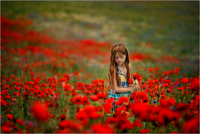 On a red field