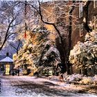 On a Snowy Evening in Central Park - No.12