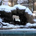 On a Snowy Evening in Central Park - No.2 - Sea Lion Pool in Central Garden