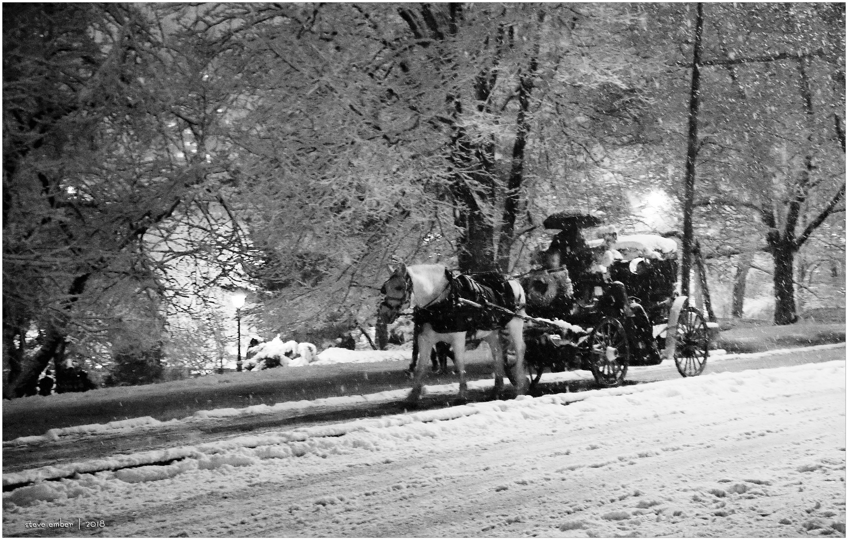 On a Snowy Evening in Central Park - No.4