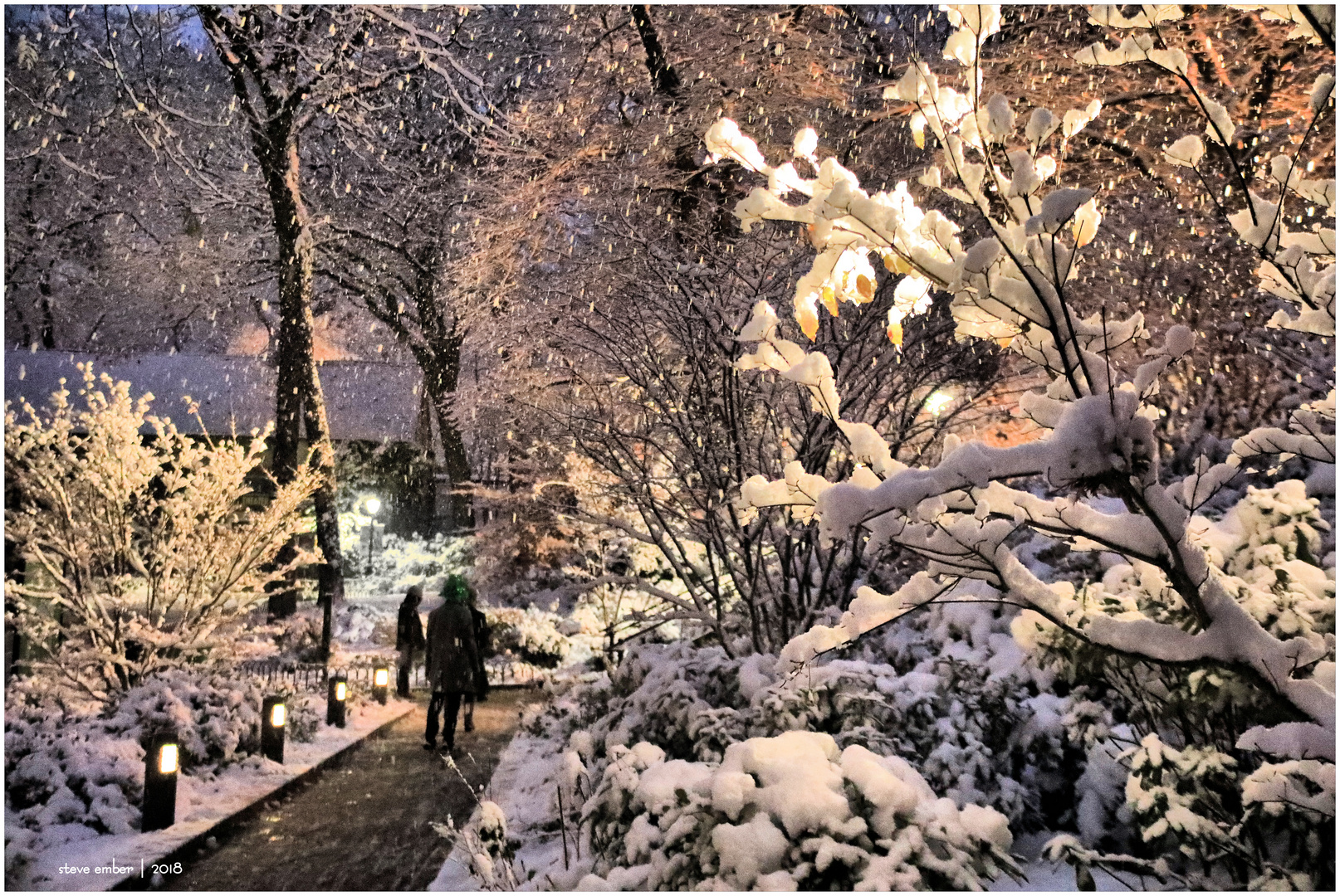 On a Snowy Evening in Central Park - No.5 - Walking in a Winter Wonderland