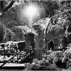 On a Snowy Evening in Central Park - No.6 - Stairs to 5th Ave