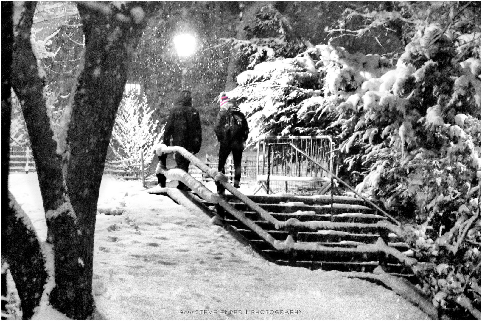 On a Snowy Night in Central Park