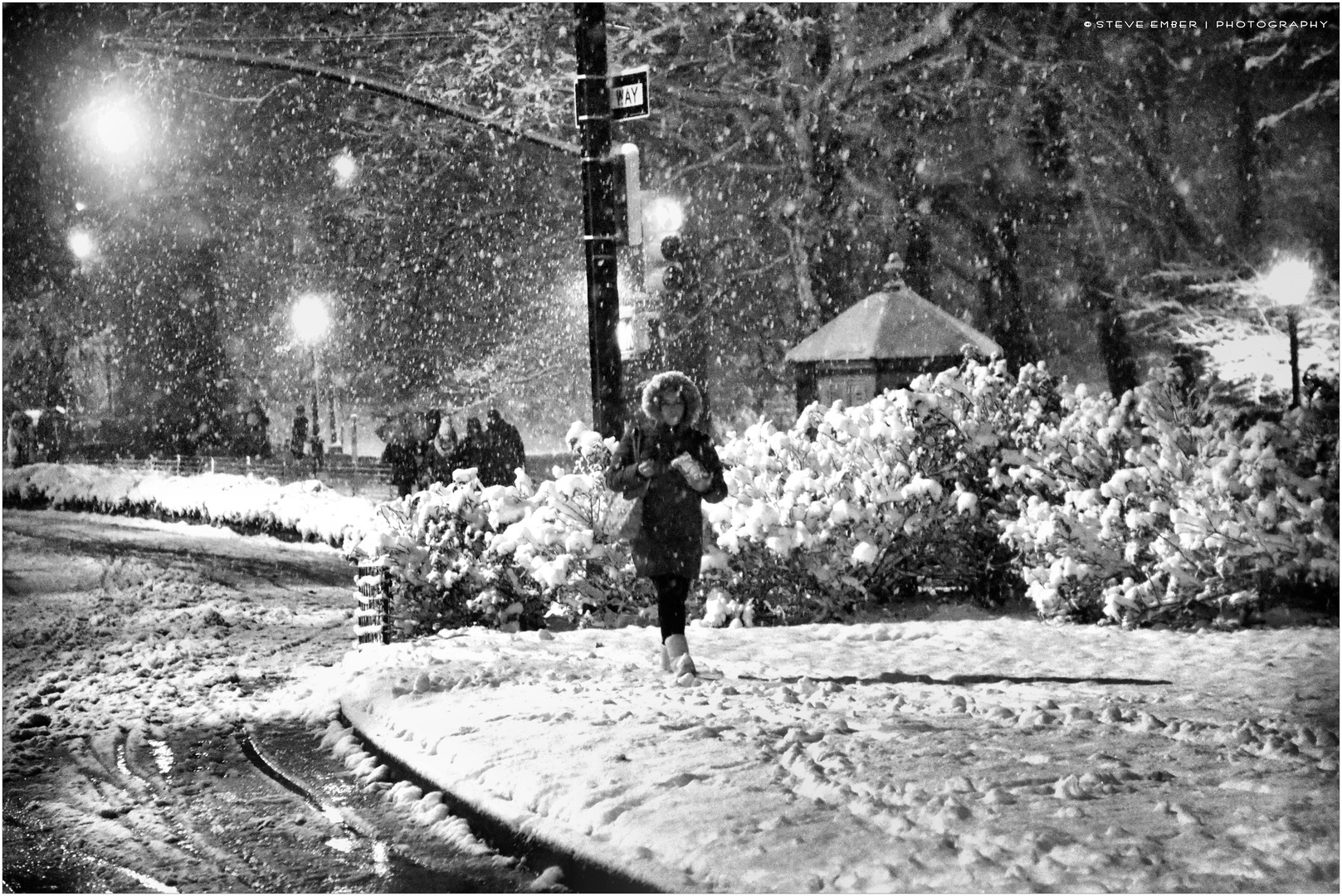 On a Snowy Night in Central Park - No. 2