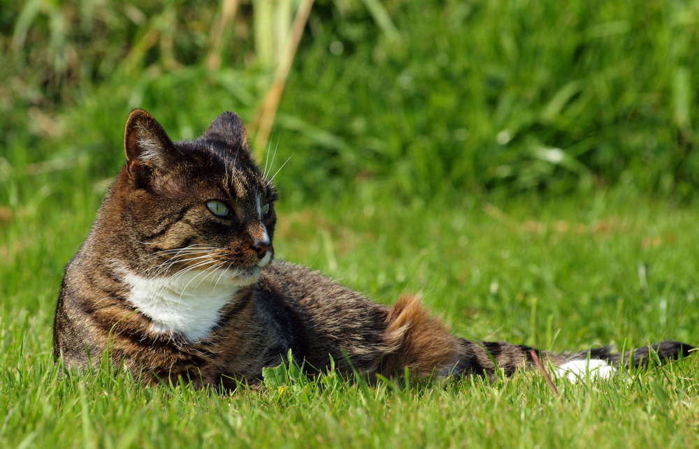 On a sunny afternoon