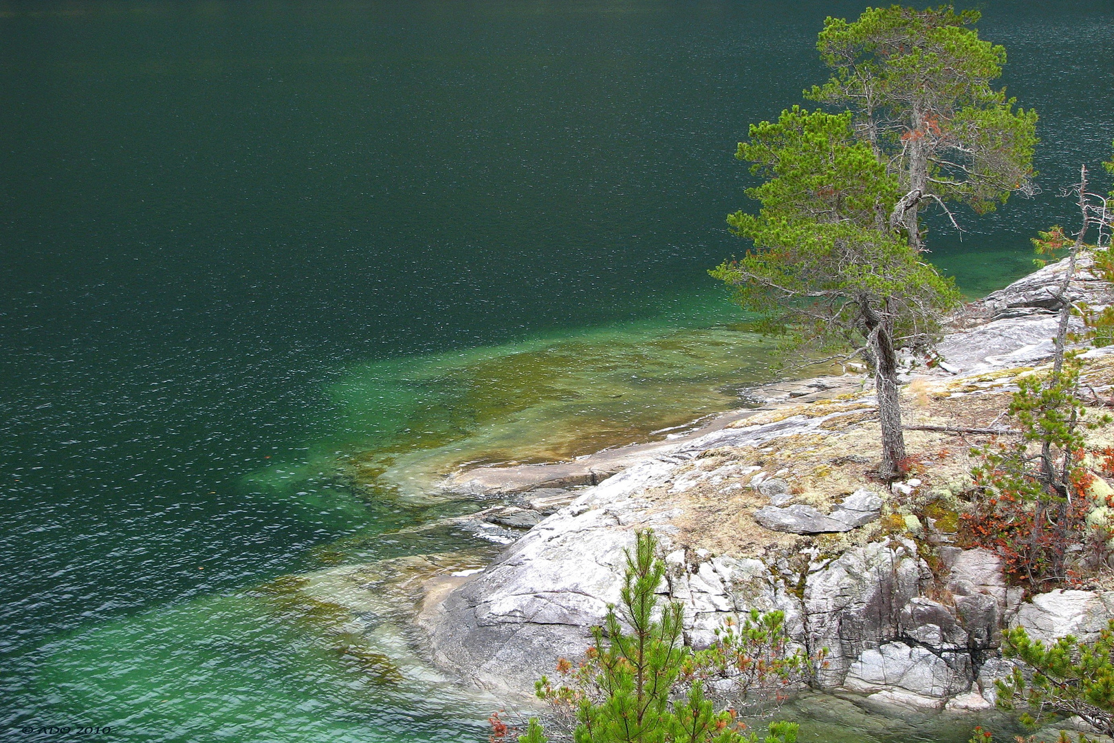 On a Tiny Island