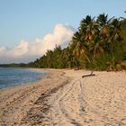 On Aitutaki Beach, Cook Islands / CK