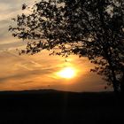 On an Evening in August at a Stream...