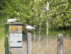 on attend le courrier !!!!