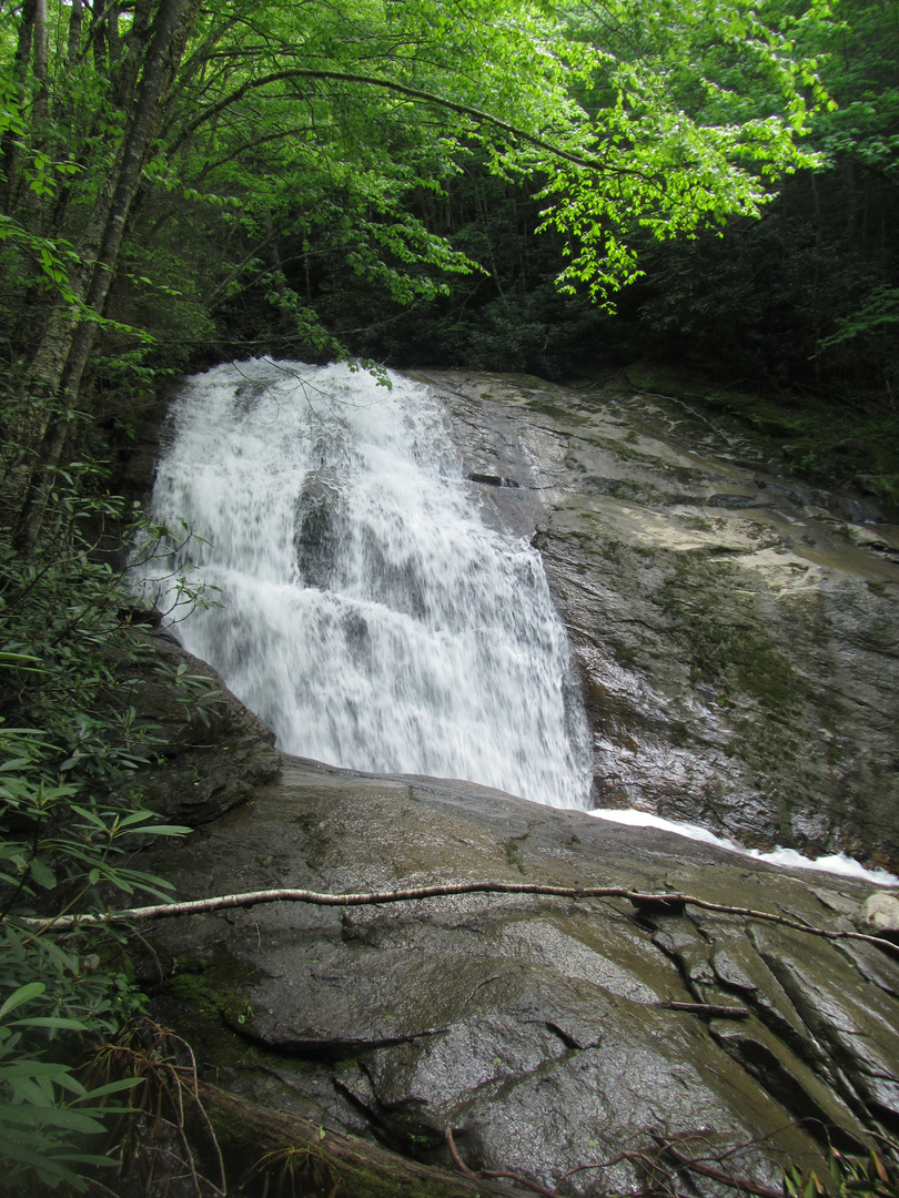 On Beech Mountain