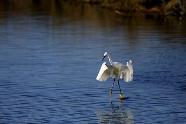 on danse ?