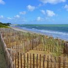 On essaie de protéger les dunes