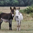 On est prêt pour la photo !