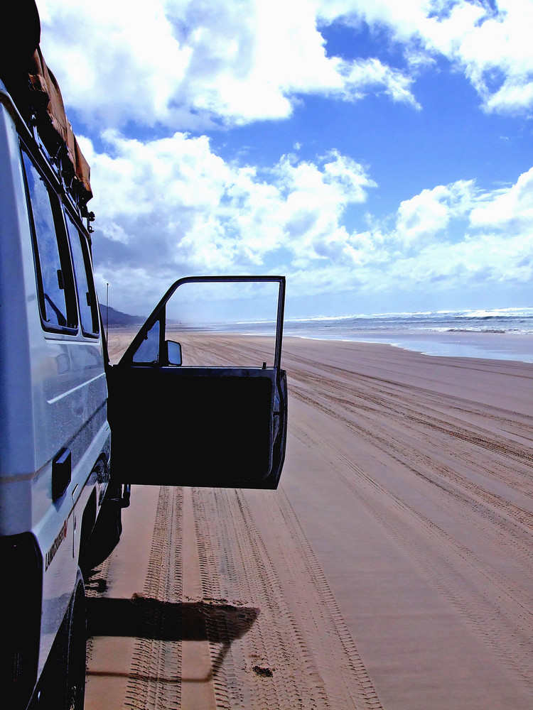 On Fraser Island, the largest sandisland in the world