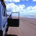 On Fraser Island, the largest sandisland in the world