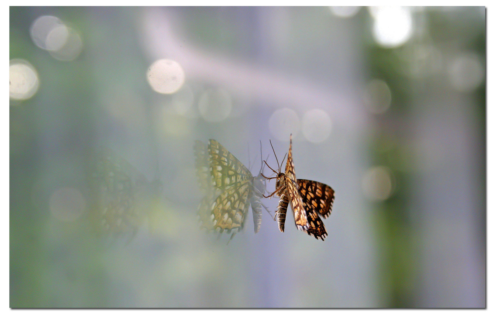 ~ On Glass ~