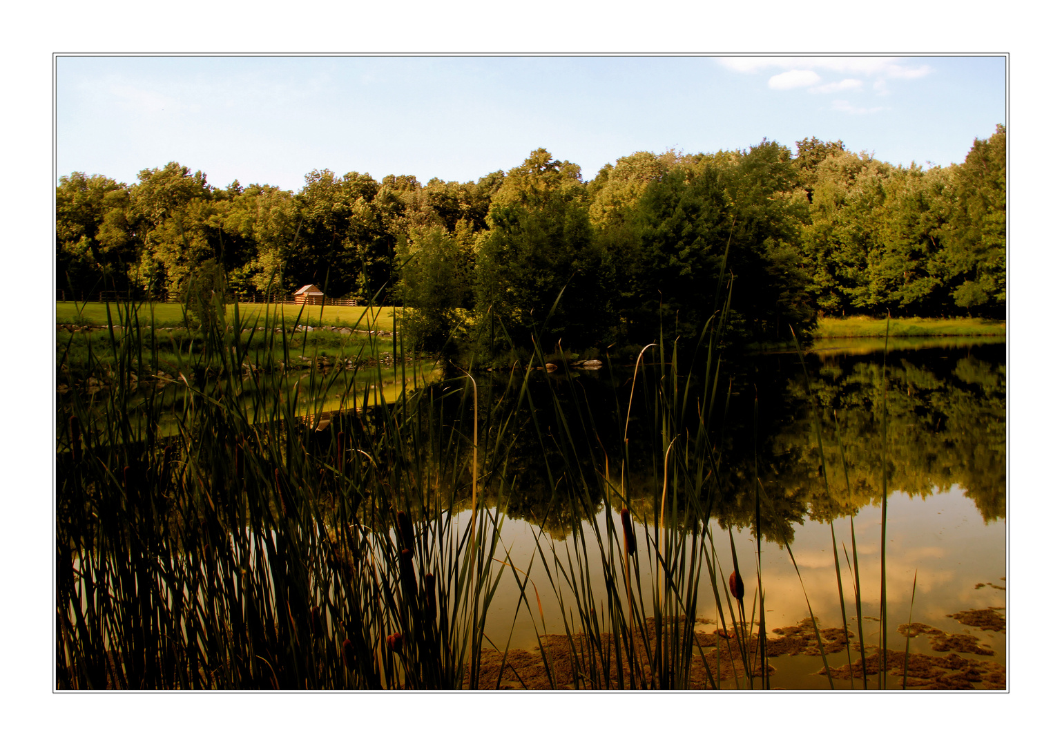 on golden pond