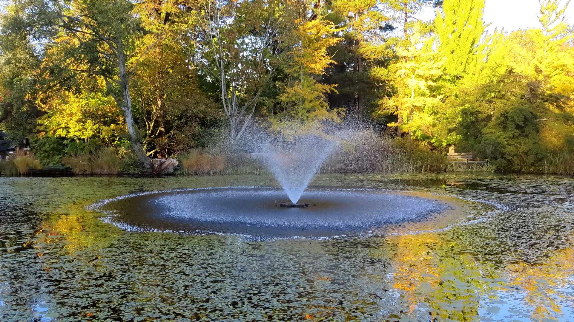 On Golden Pond