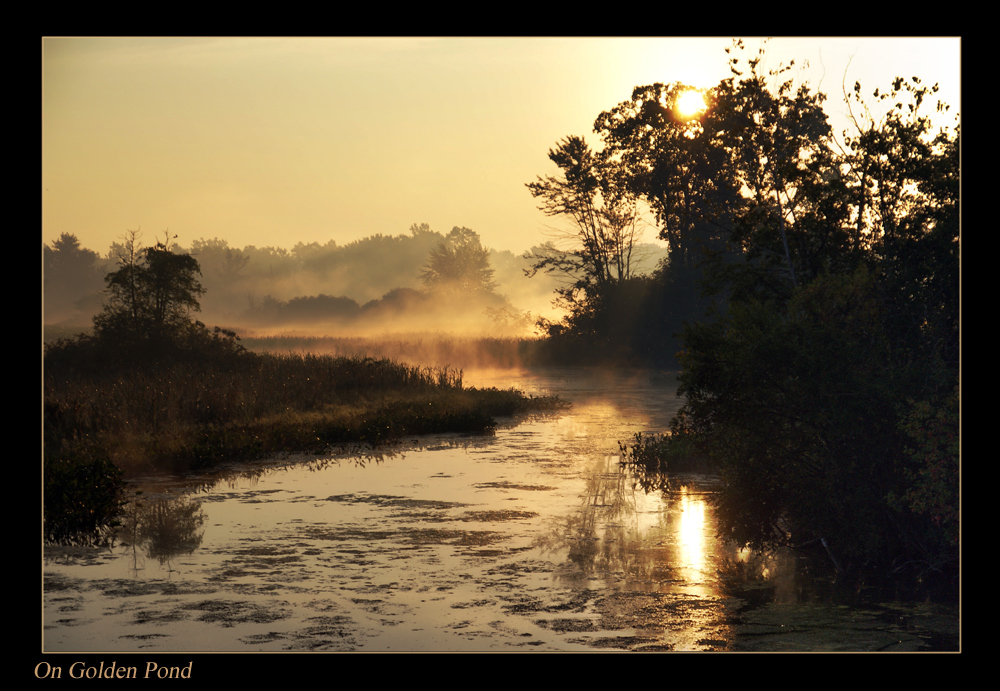 On Golden Pond