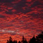 On Gotland, the evening time -2-