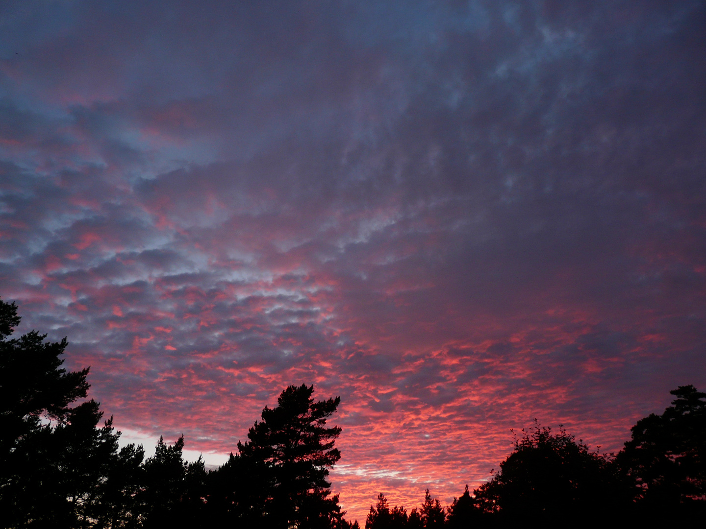 On Gotland, the evening time