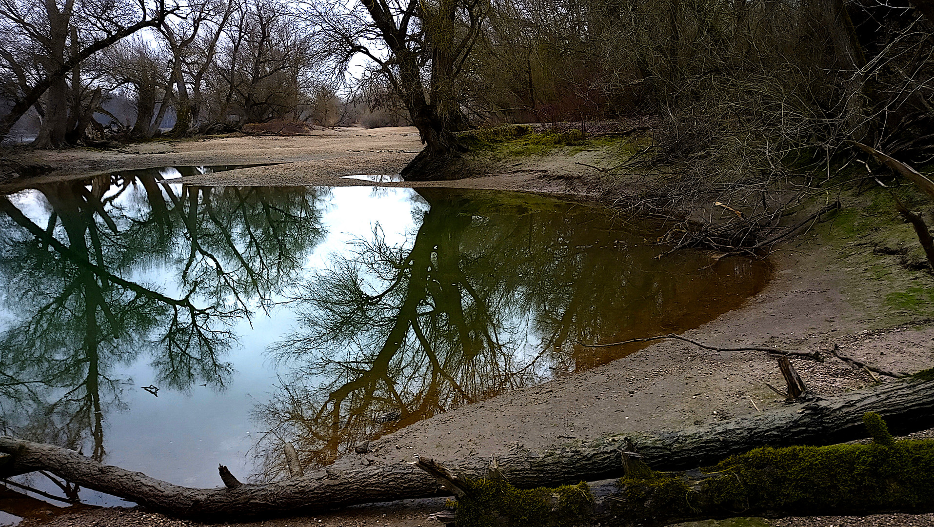 on green pond