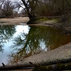 on green pond